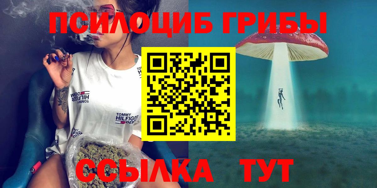 Галлюциногенные грибы Psilocybine cubensis Десногорск