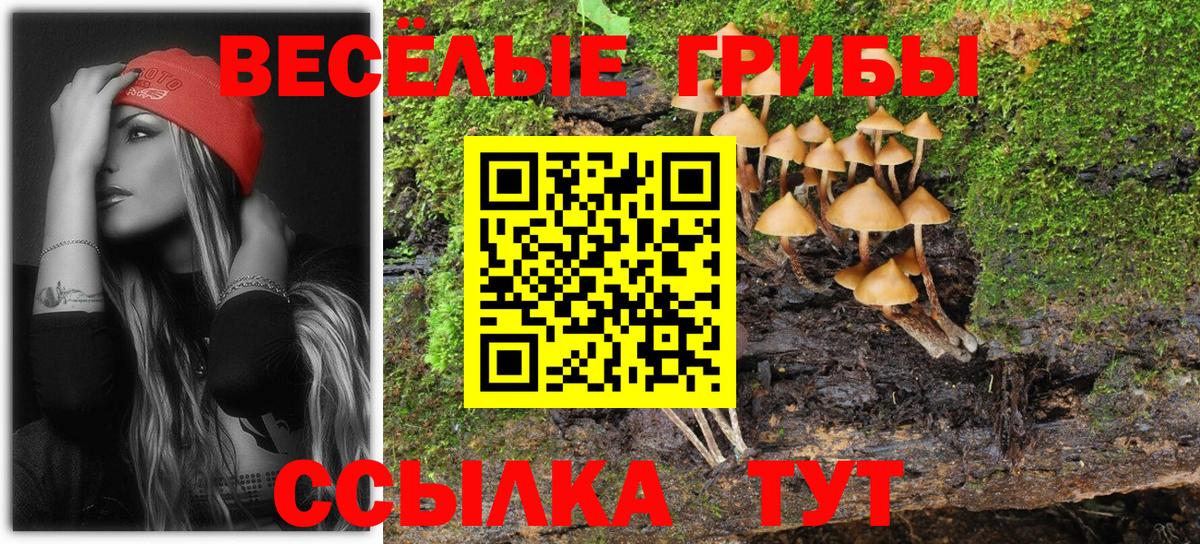 Десногорск  Псилоцибиновые грибы мицелий  Вход с VPN 